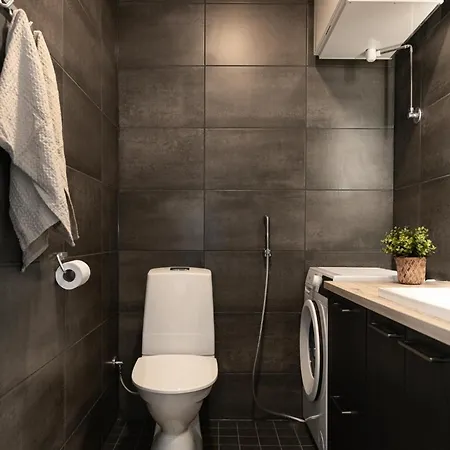 Ferienhaus Rukan Helmi